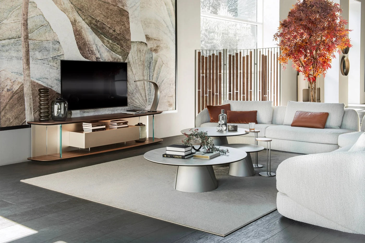 TV & Media Units